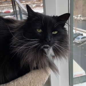 Meet your Posher, Carole